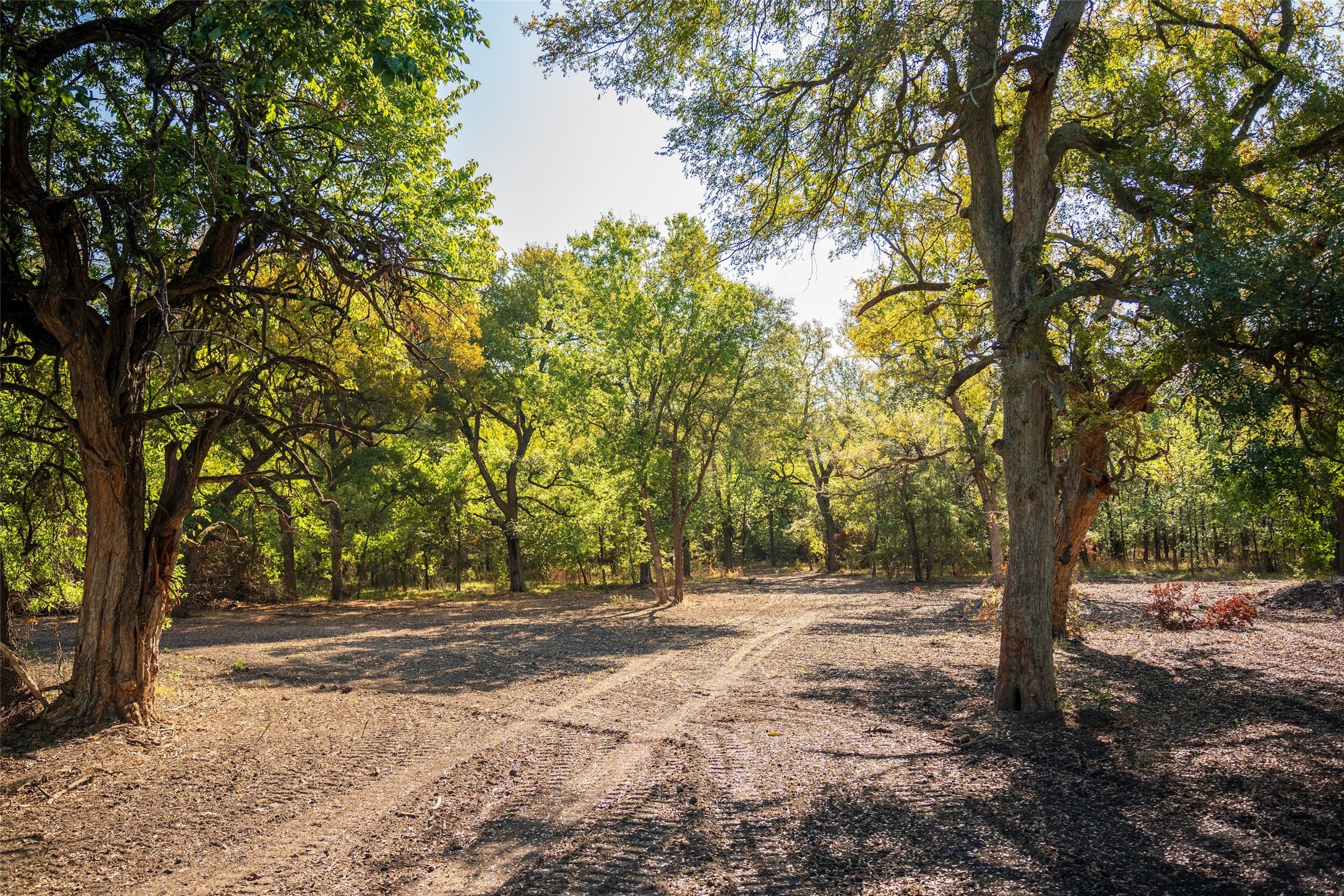 Tbd County Road 3660 County Road 3660 Ladonia TX 75449