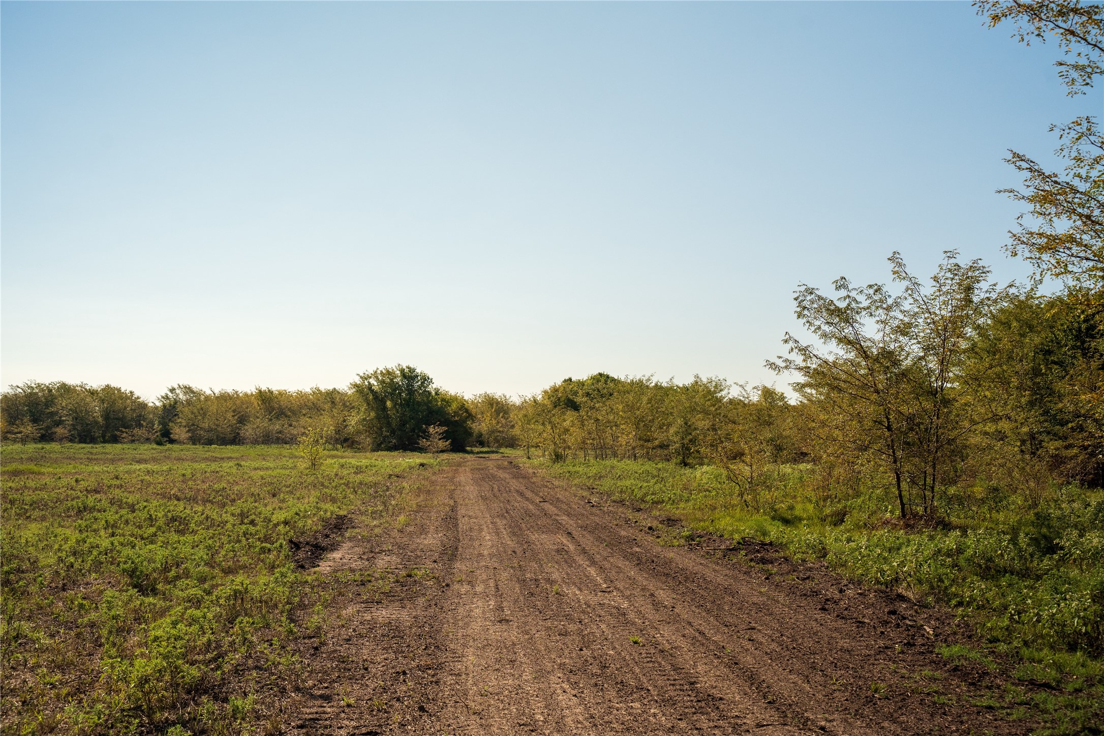 Tbd County Road 3660 County Road 3660 Ladonia TX 75449