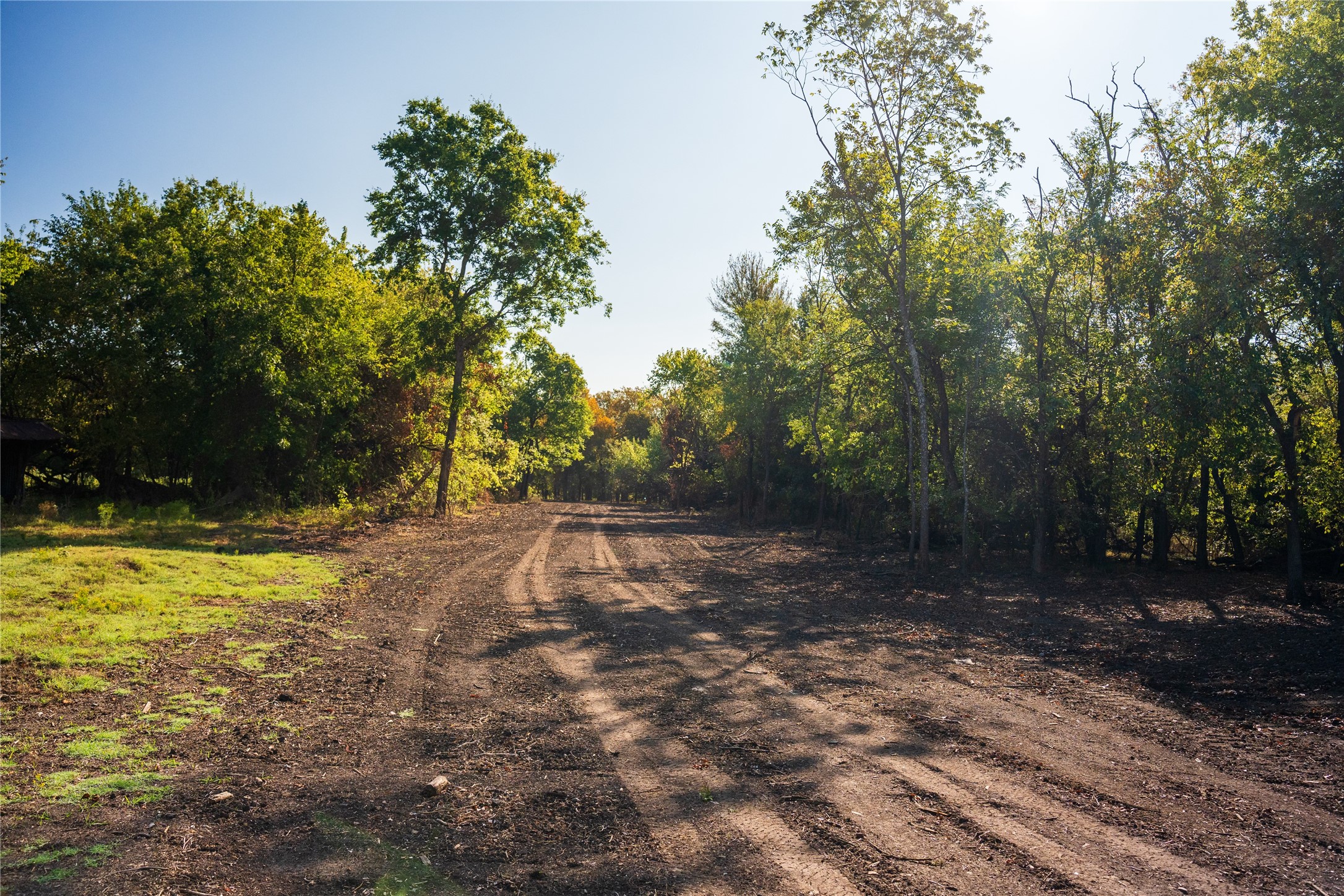 Tbd County Road 3660 County Road 3660 Ladonia TX 75449