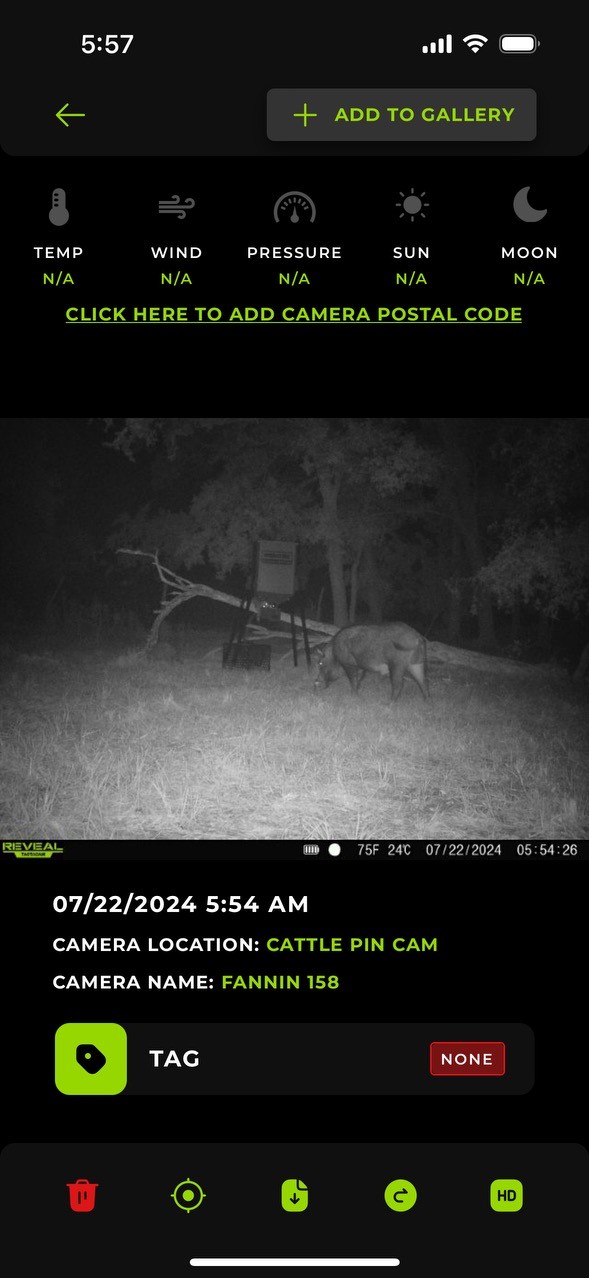 Tbd County Road 3660 County Road 3660 Ladonia TX 75449