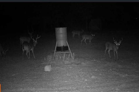 TBD2 N Fm 730 Decatur TX 76234