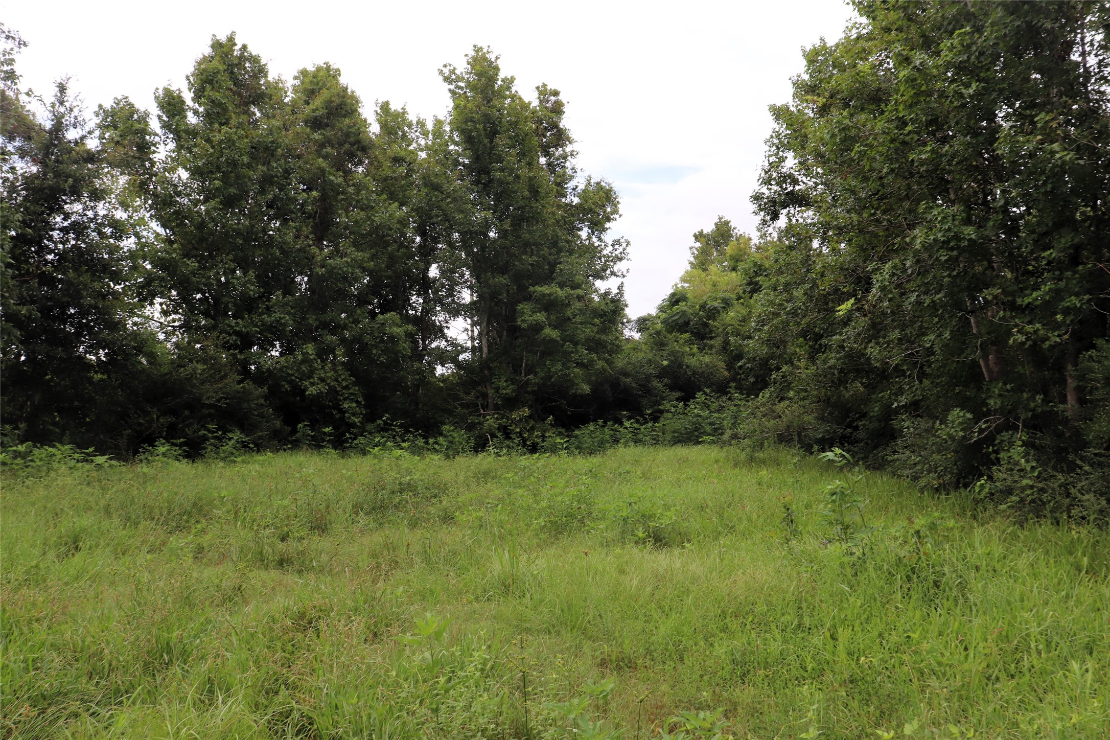 127 County Road 190 Liberty TX 77575