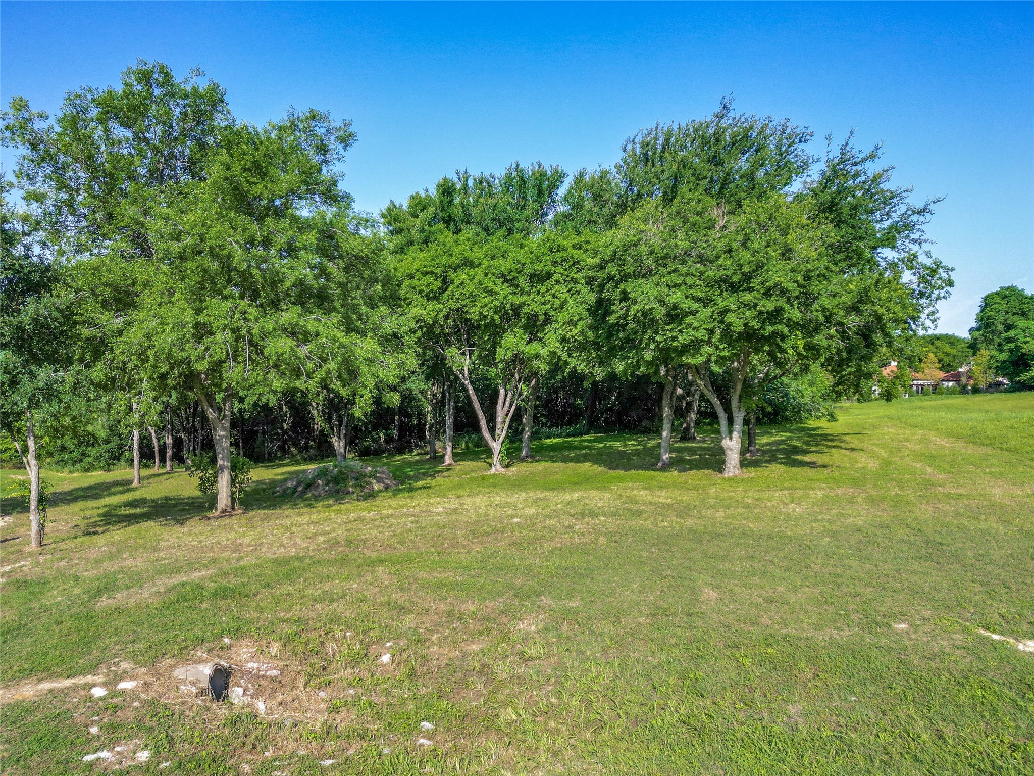 1735 Right Field Court Cedar Hill TX 75104
