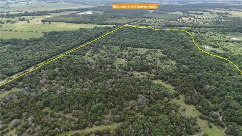 TBD 125 Acres Fm 642 Purdon TX 76679