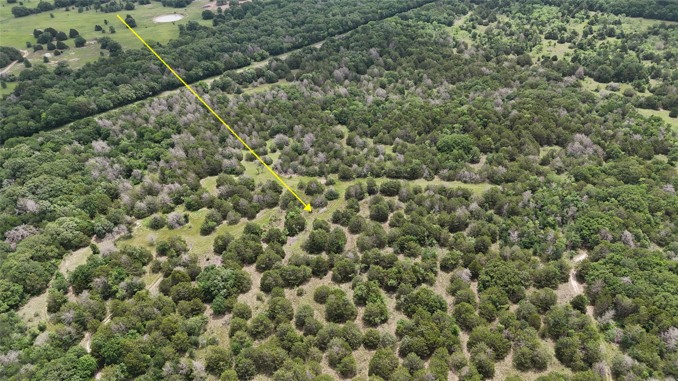 Tbd 125 Acres Fm 642 Purdon TX 76679