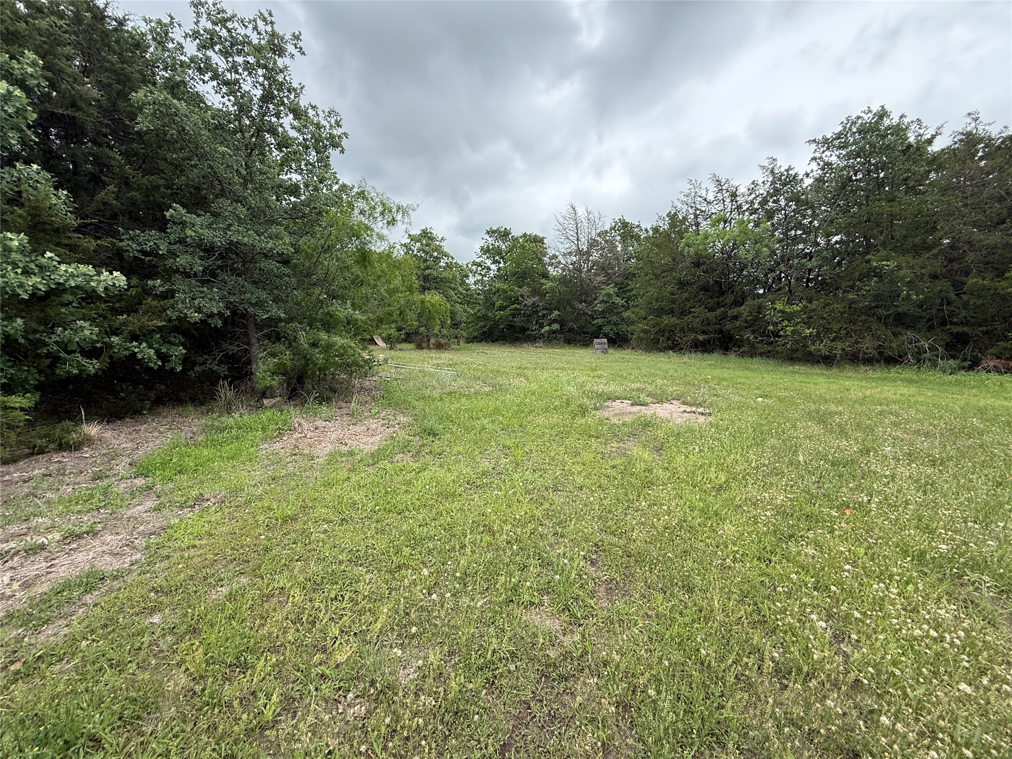 Tbd 125 Acres Fm 642 Purdon TX 76679