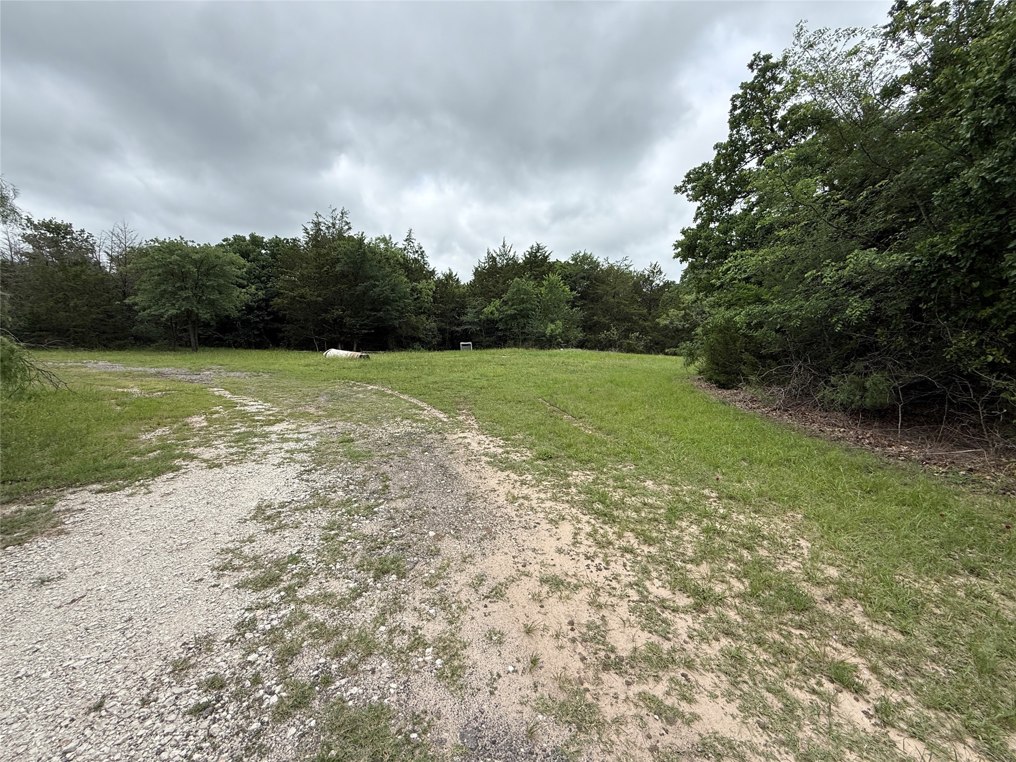 Tbd 125 Acres Fm 642 Purdon TX 76679