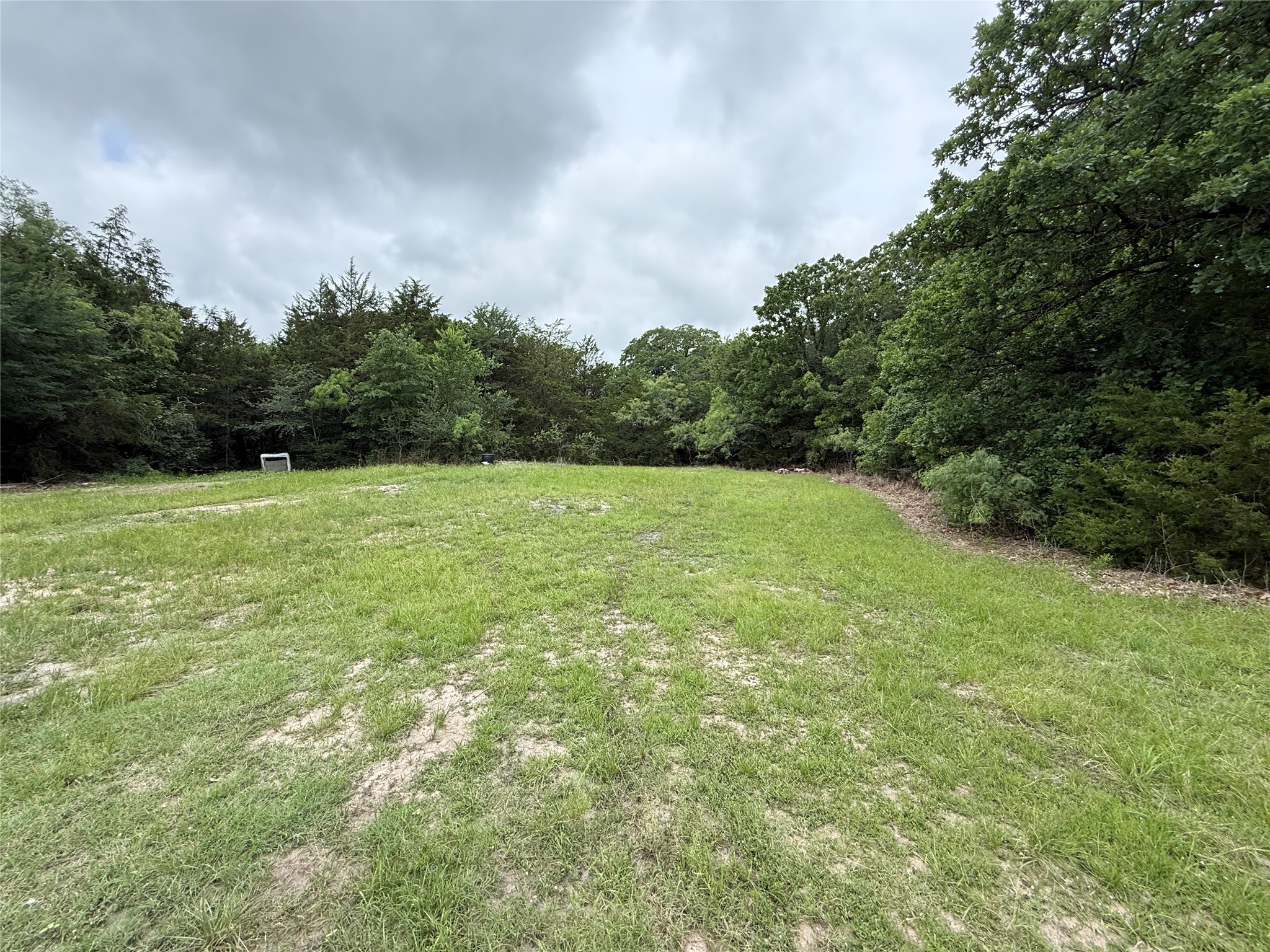Tbd 125 Acres Fm 642 Purdon TX 76679