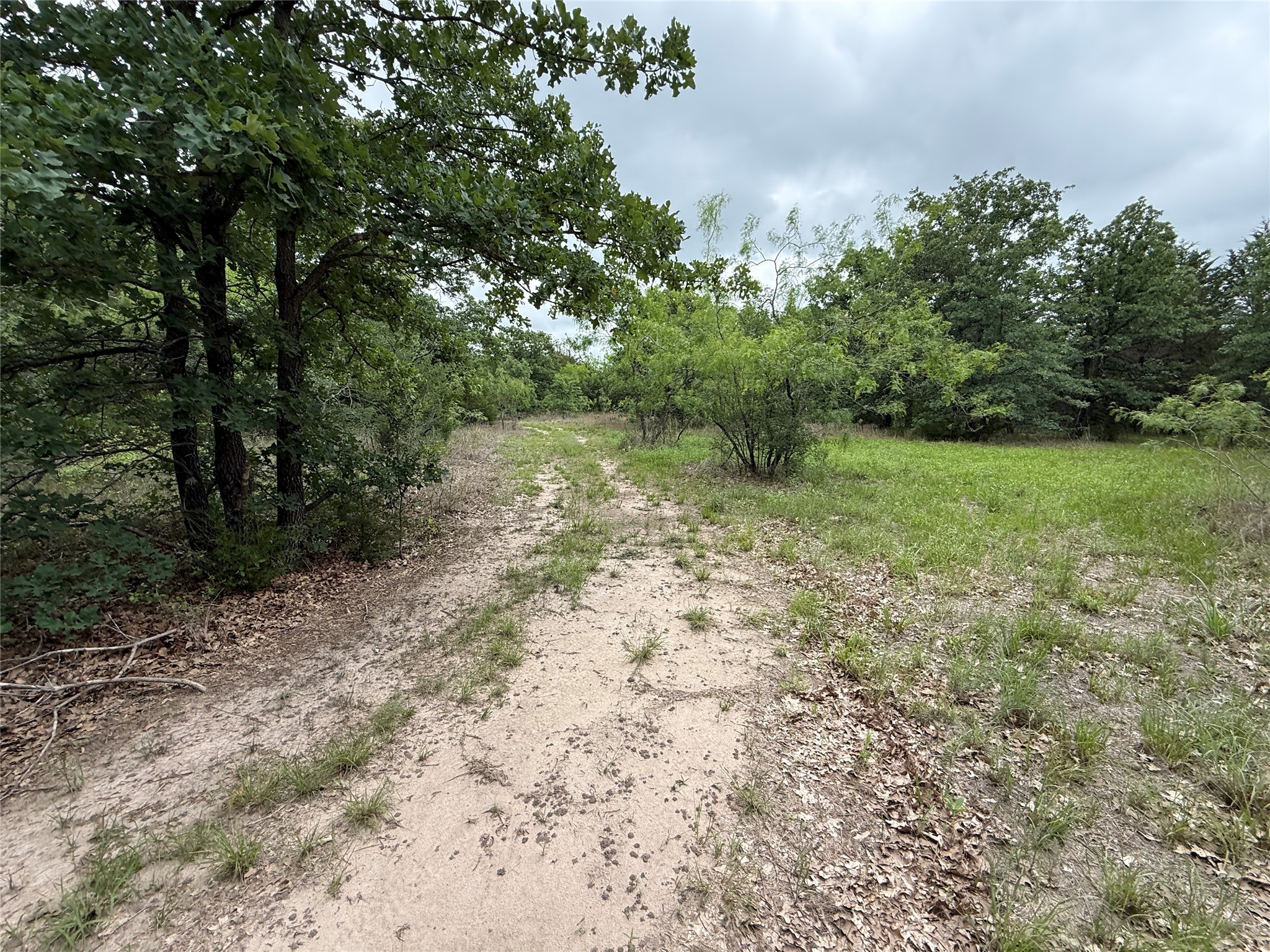Tbd 125 Acres Fm 642 Purdon TX 76679