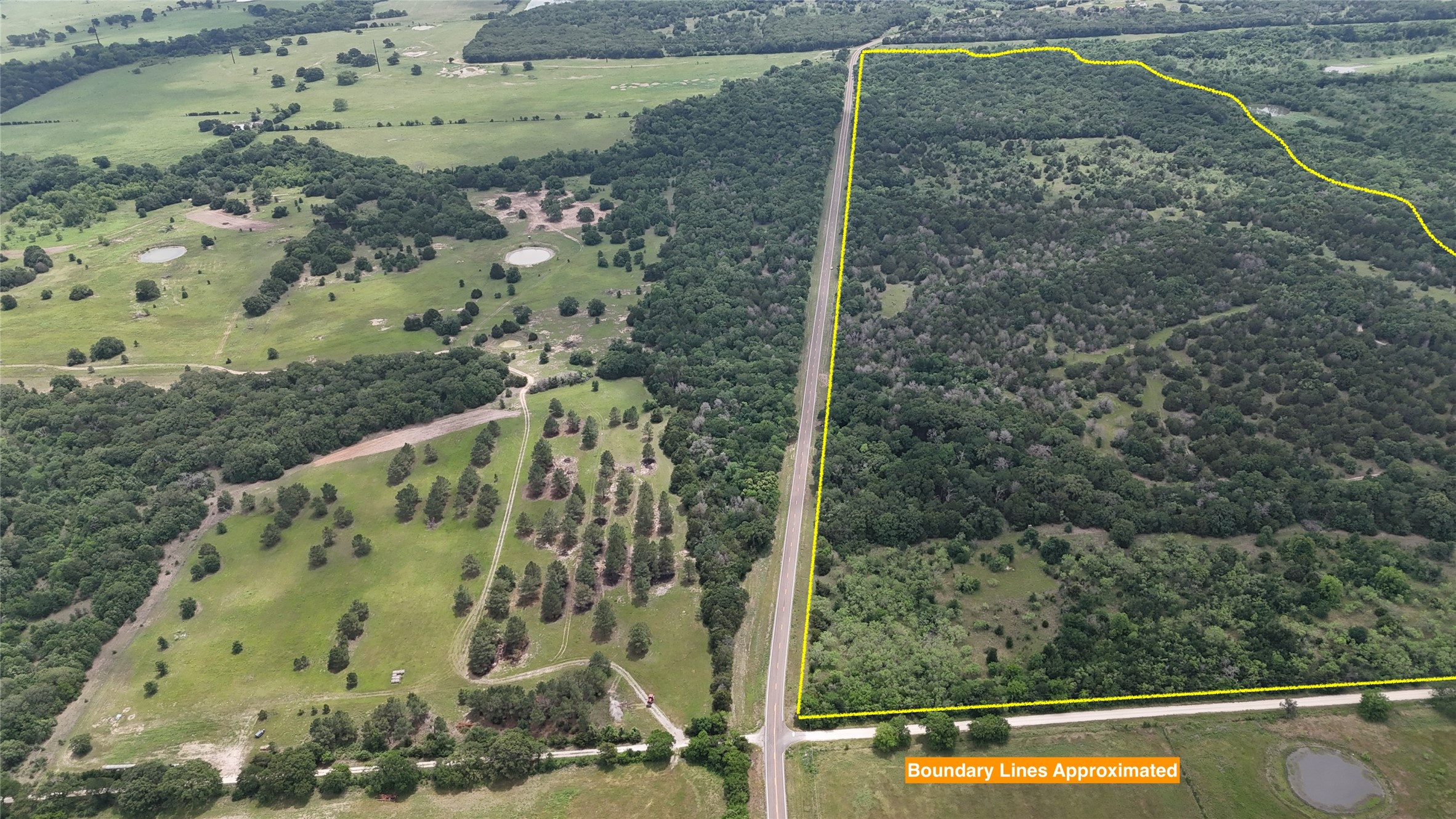 Tbd 125 Acres Fm 642 Purdon TX 76679