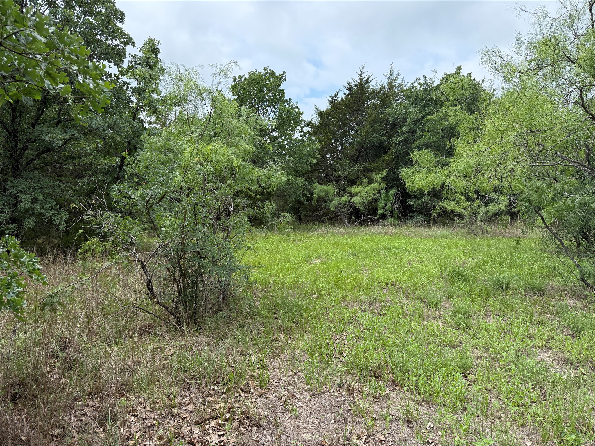 Tbd 125 Acres Fm 642 Purdon TX 76679
