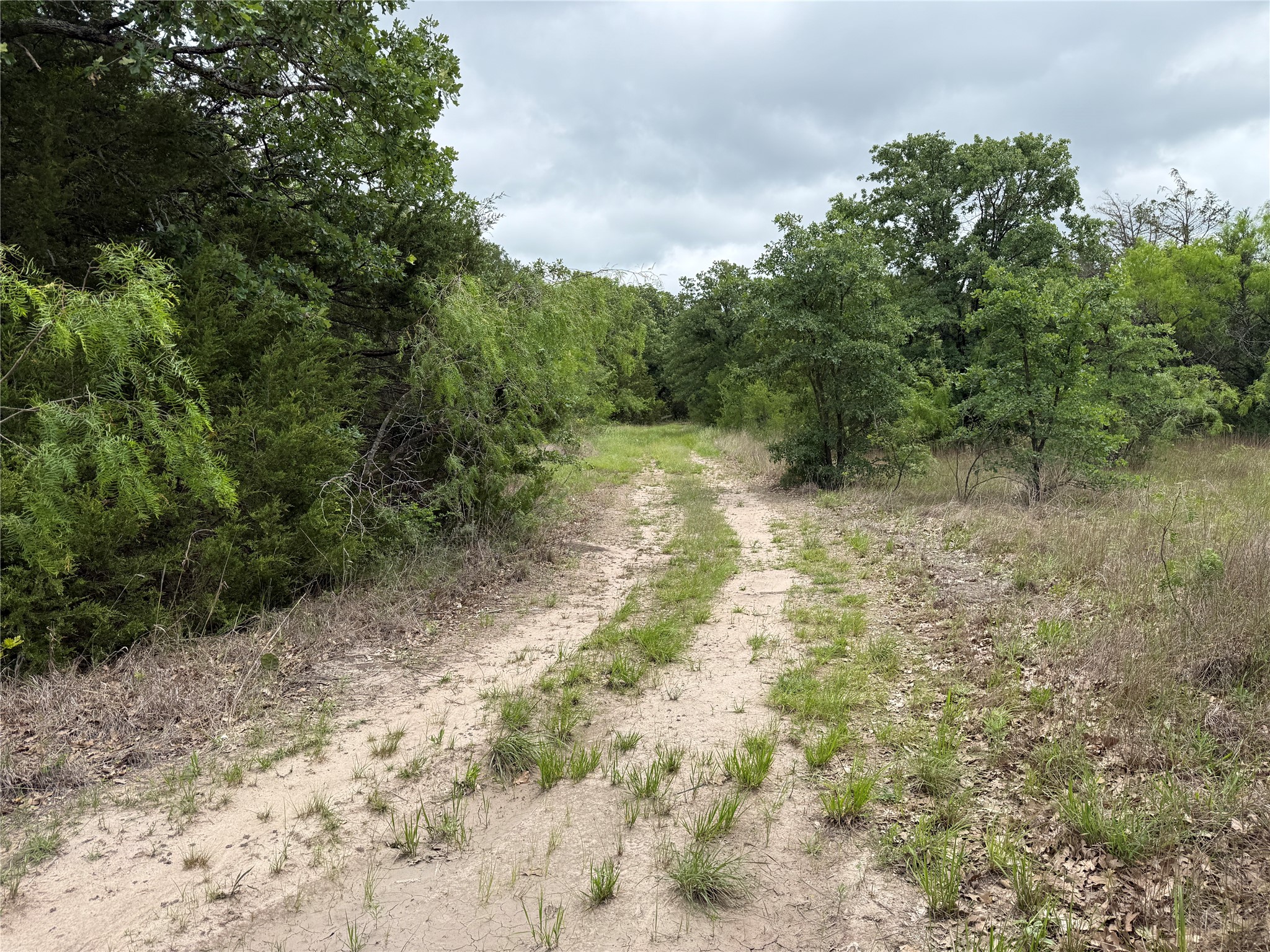 Tbd 125 Acres Fm 642 Purdon TX 76679