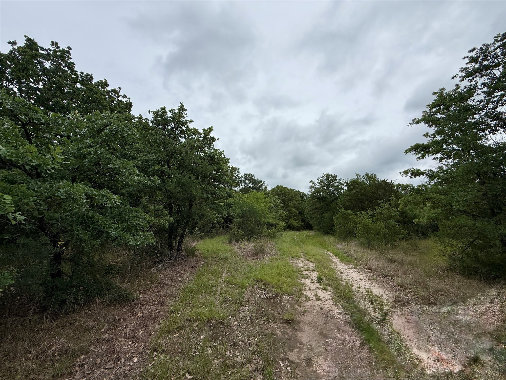 Tbd 125 Acres Fm 642 Purdon TX 76679