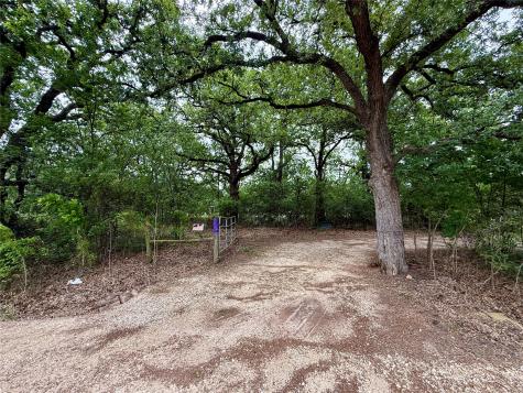 TBD 125 Acres Fm 642 Purdon TX 76679
