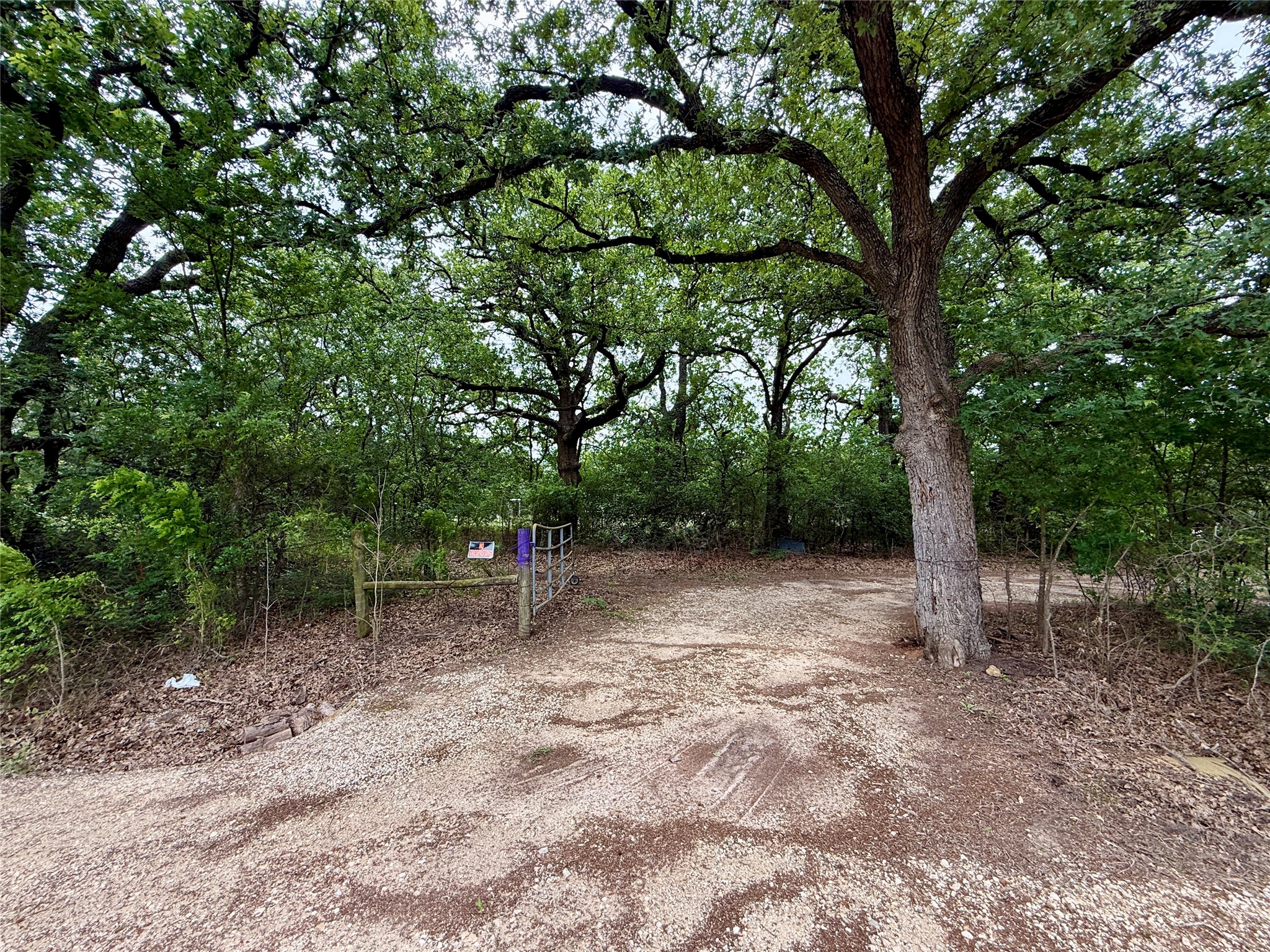 Tbd 125 Acres Fm 642 Purdon TX 76679