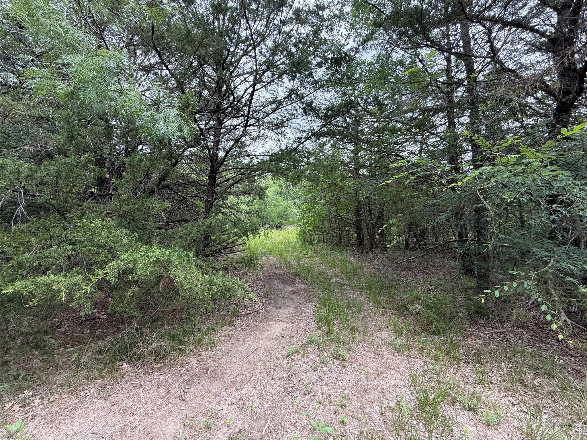 Tbd 125 Acres Fm 642 Purdon TX 76679