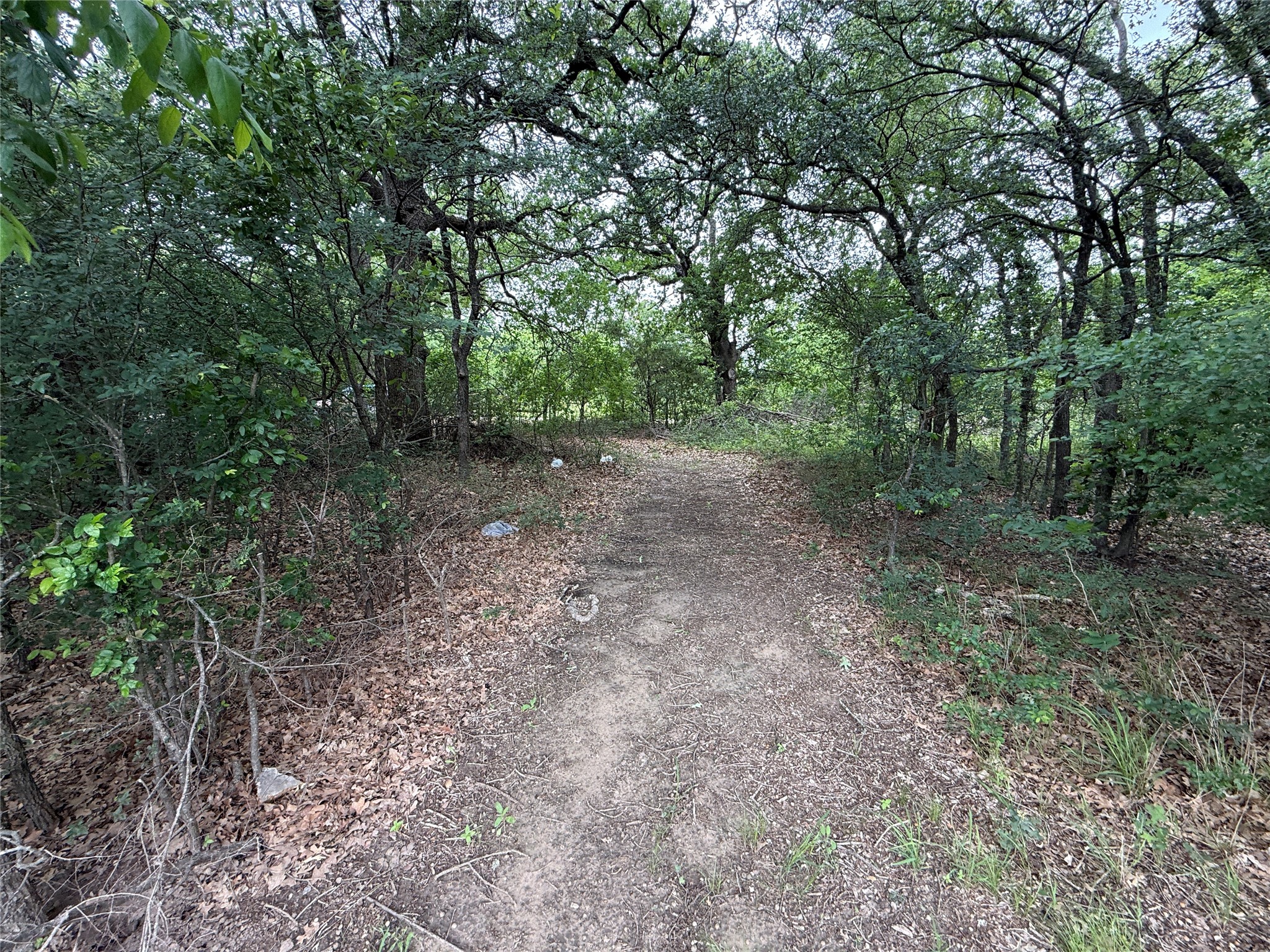 Tbd 125 Acres Fm 642 Purdon TX 76679
