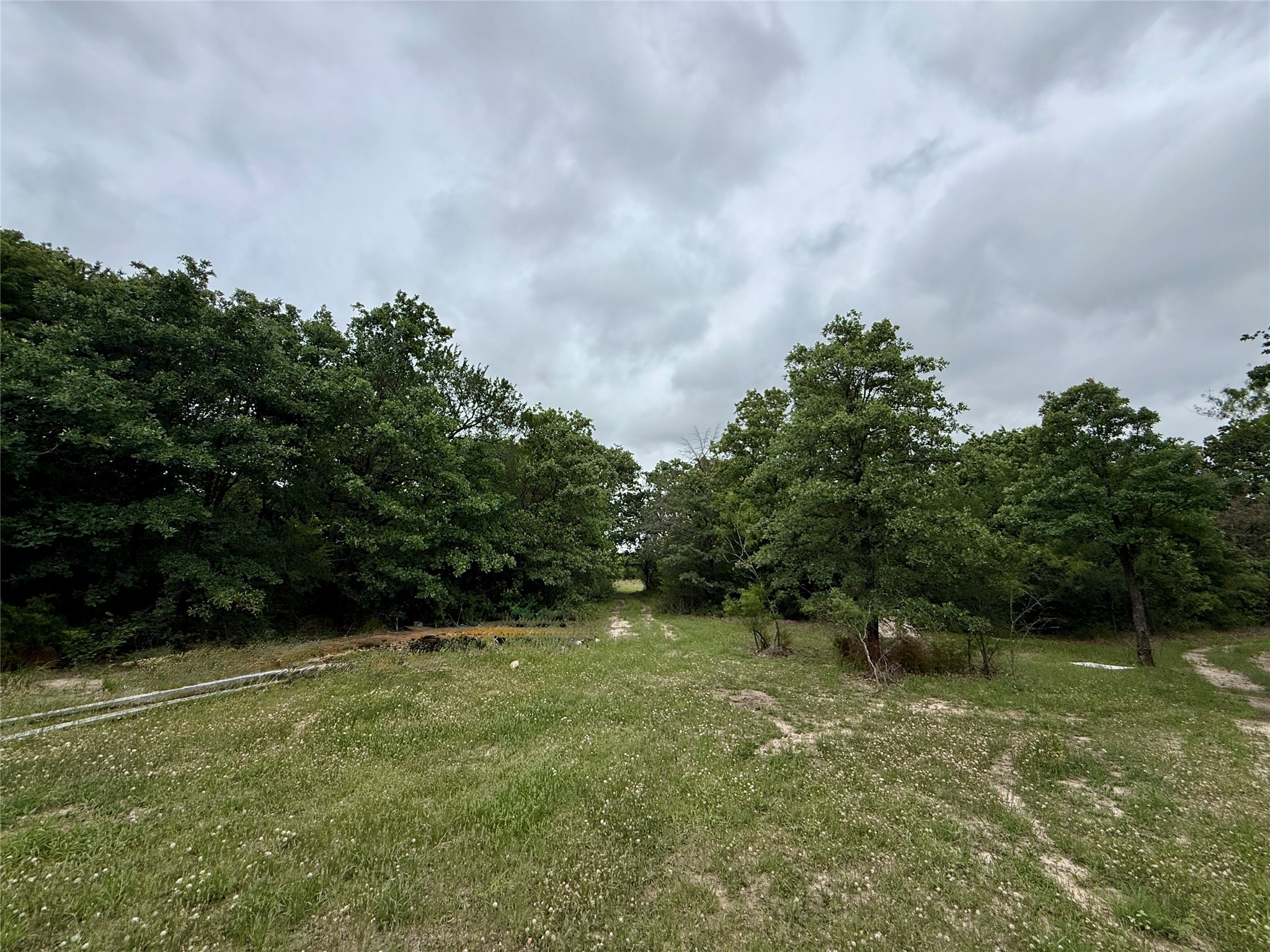 Tbd 125 Acres Fm 642 Purdon TX 76679