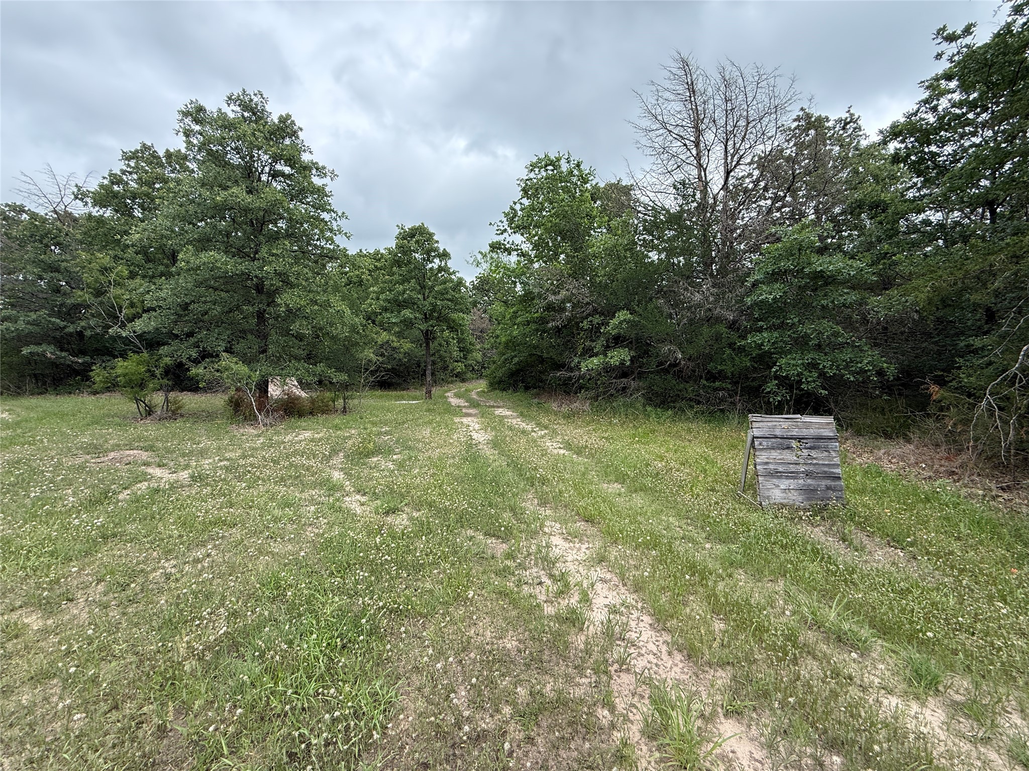Tbd 125 Acres Fm 642 Purdon TX 76679