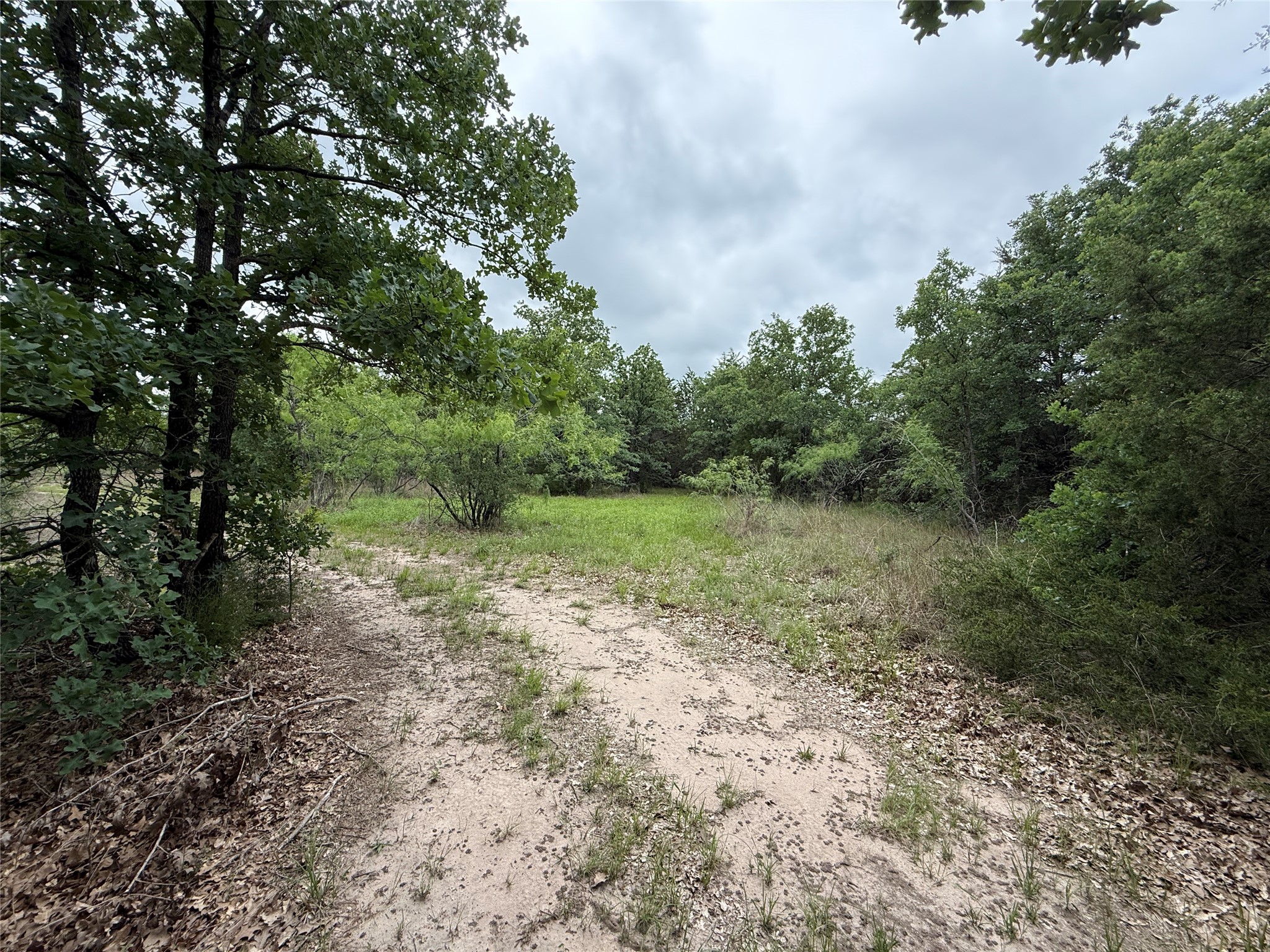 Tbd 125 Acres Fm 642 Purdon TX 76679