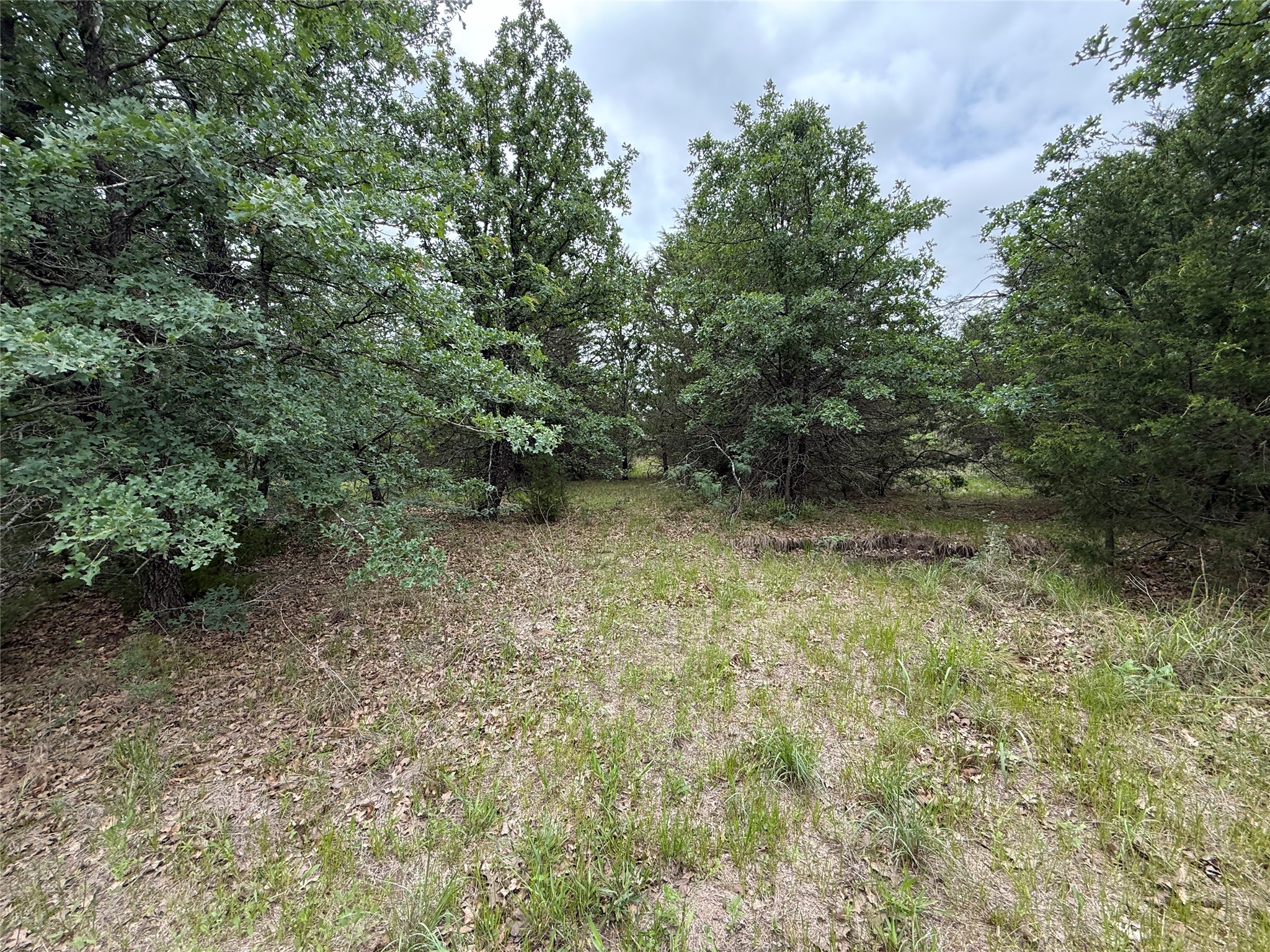 Tbd 125 Acres Fm 642 Purdon TX 76679