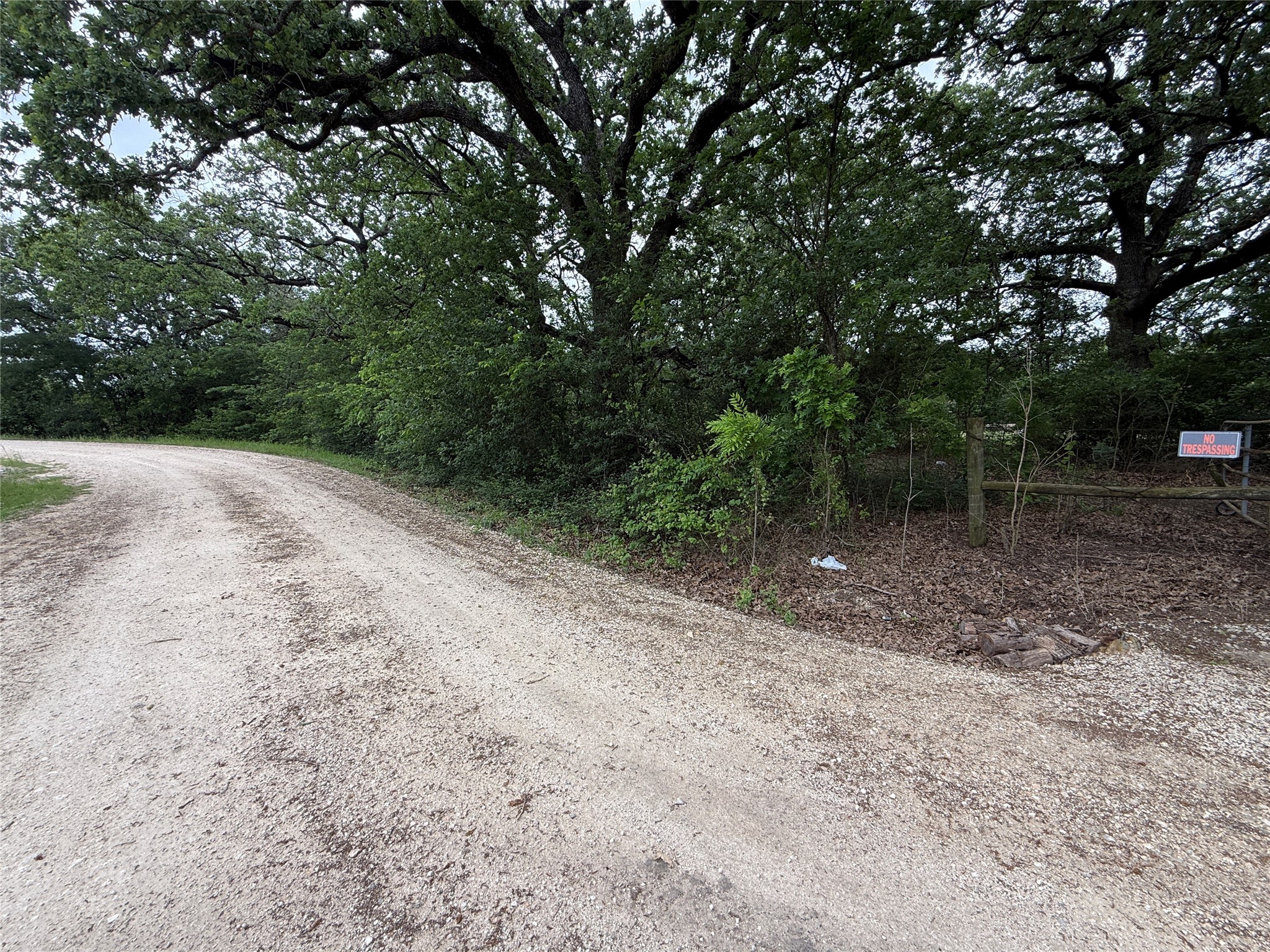 Tbd 125 Acres Fm 642 Purdon TX 76679