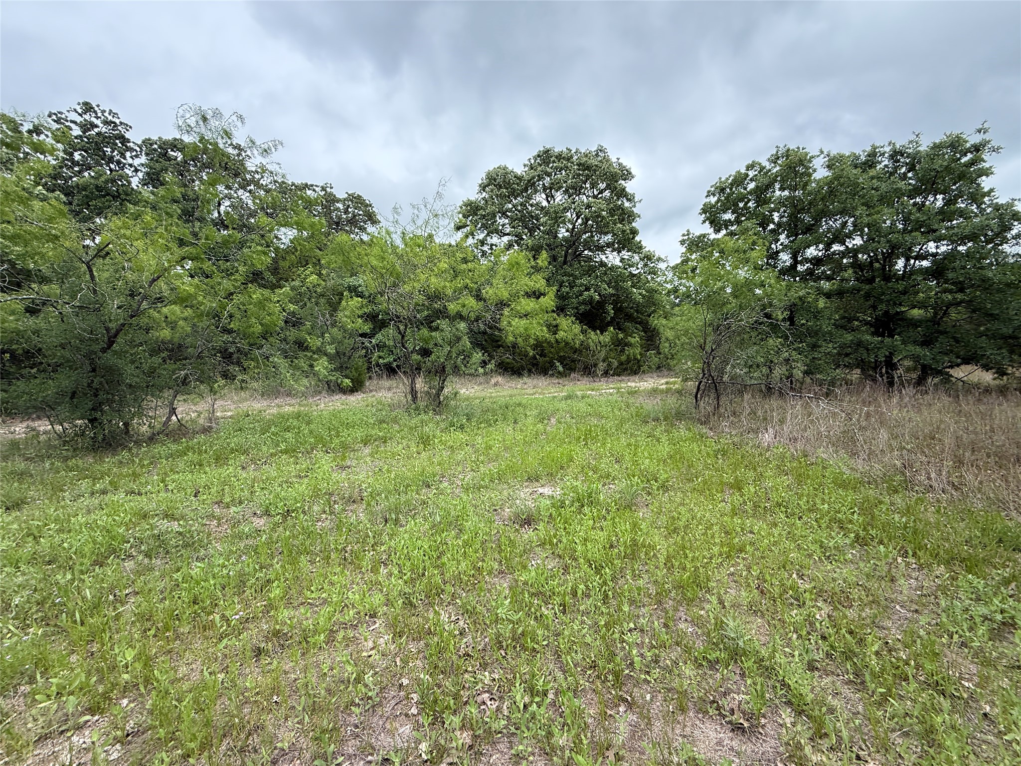 Tbd 125 Acres Fm 642 Purdon TX 76679