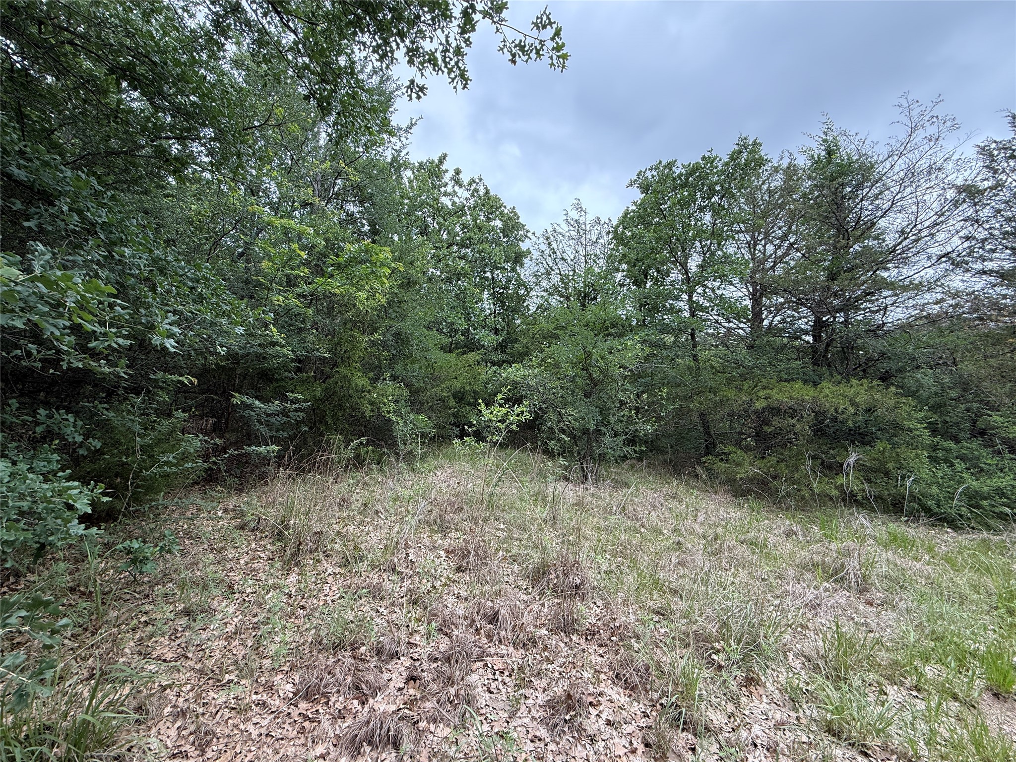 Tbd 125 Acres Fm 642 Purdon TX 76679