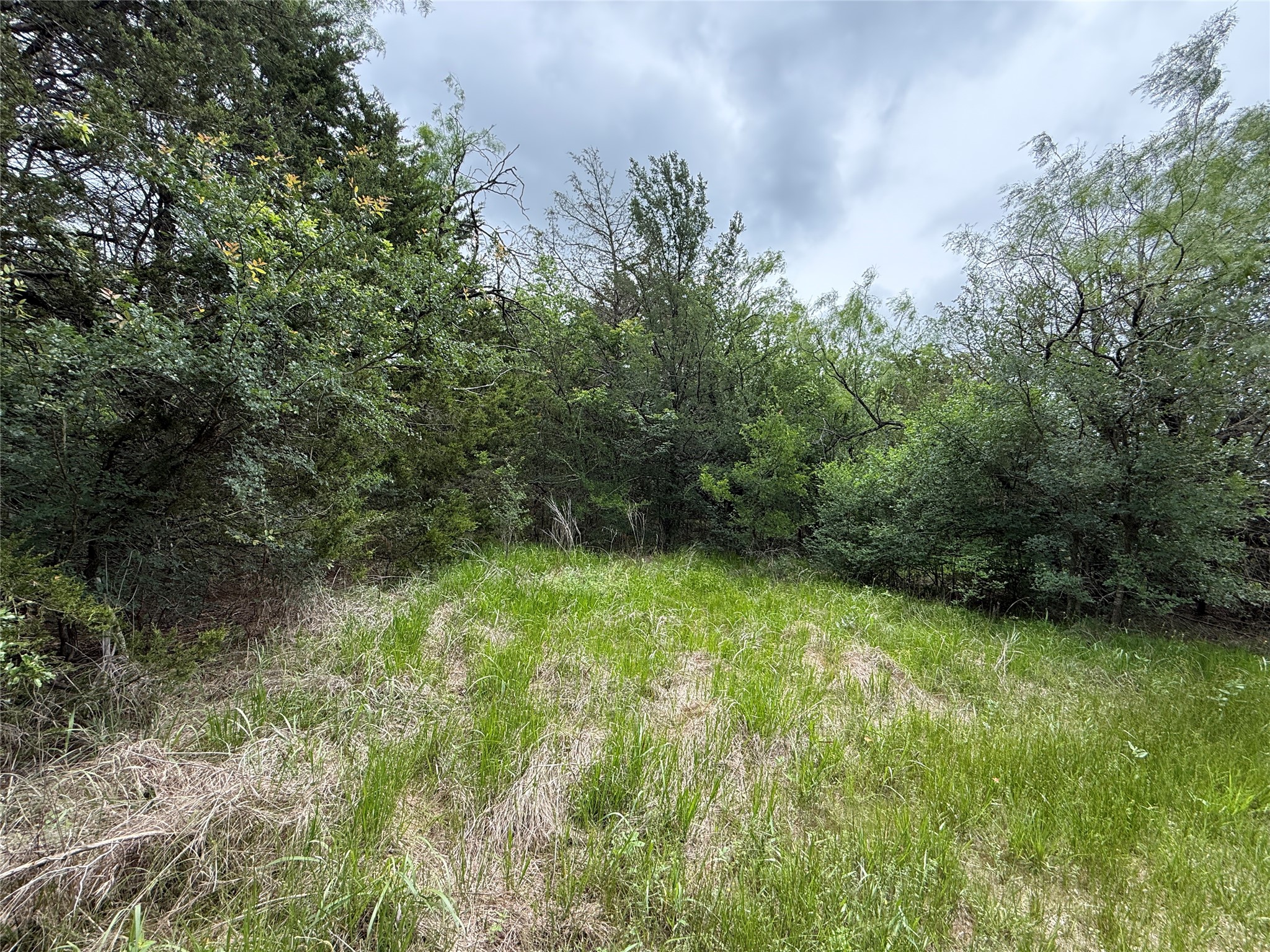 Tbd 125 Acres Fm 642 Purdon TX 76679
