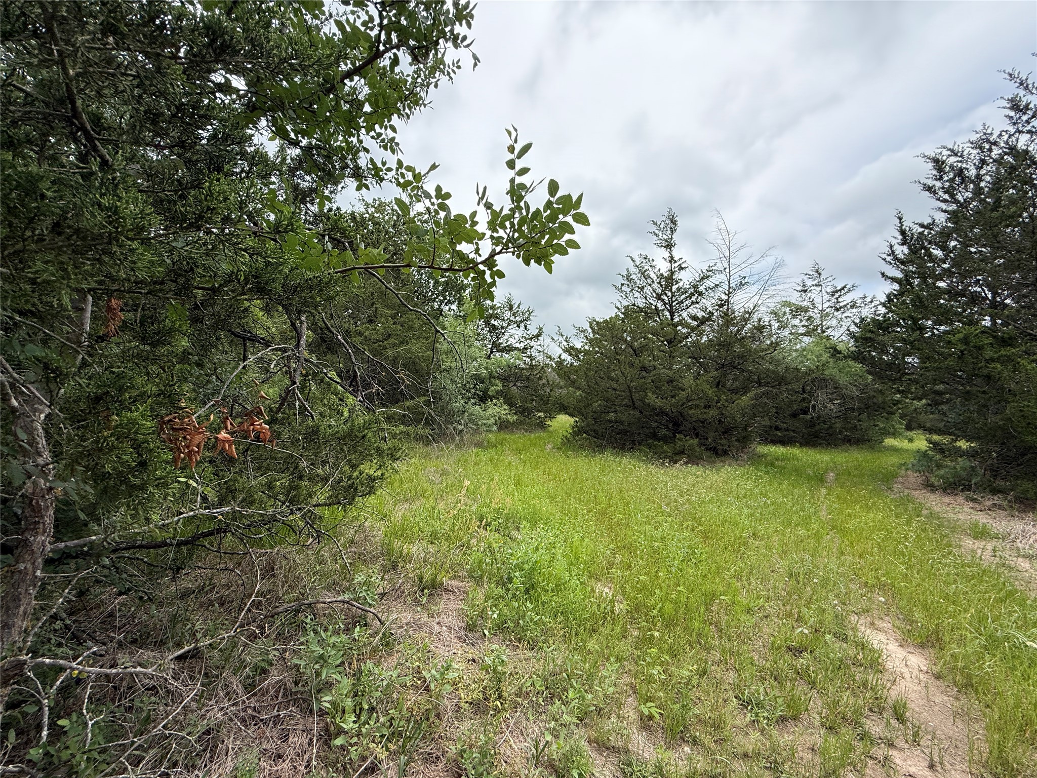 Tbd 125 Acres Fm 642 Purdon TX 76679