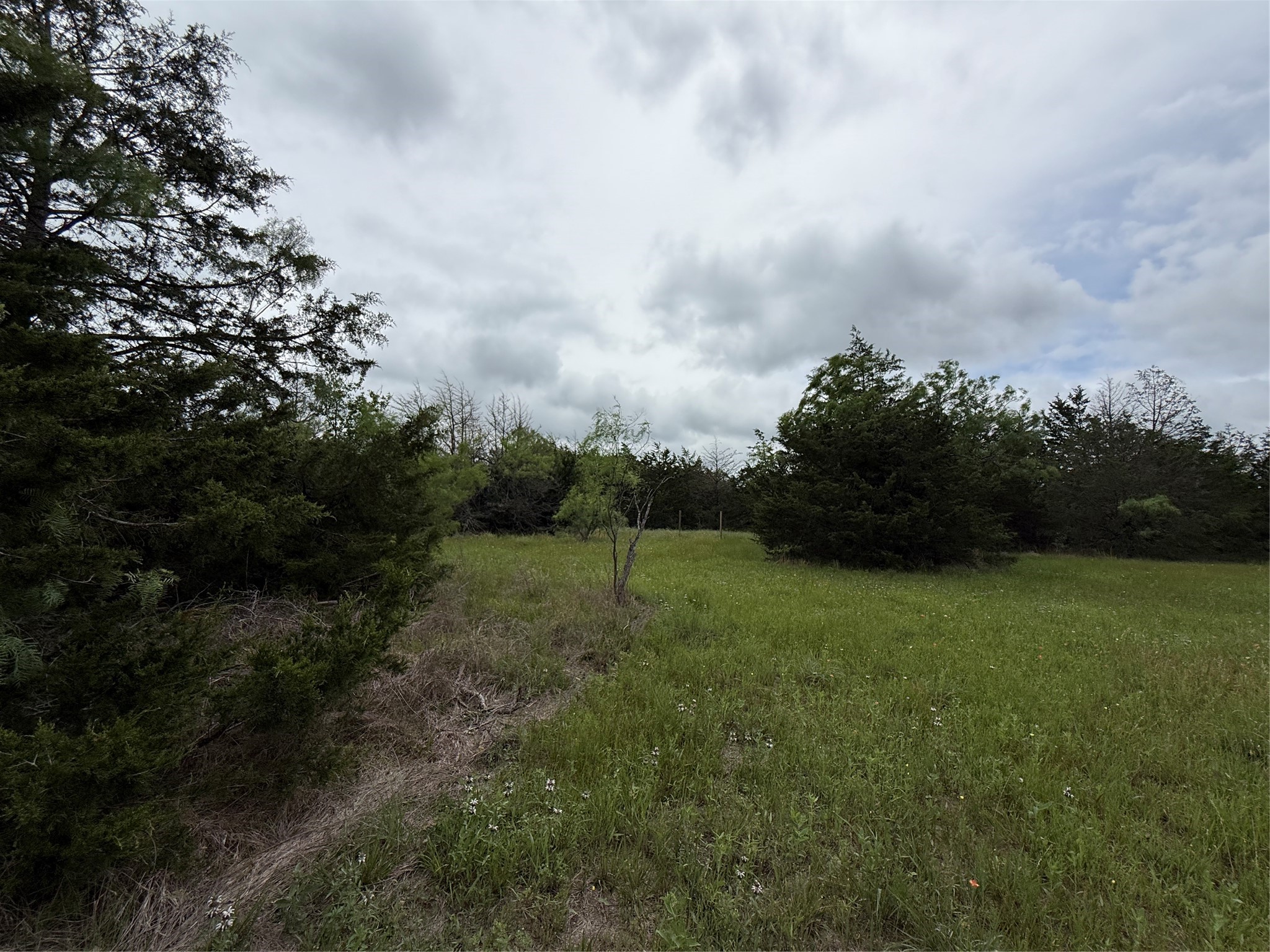 Tbd 125 Acres Fm 642 Purdon TX 76679