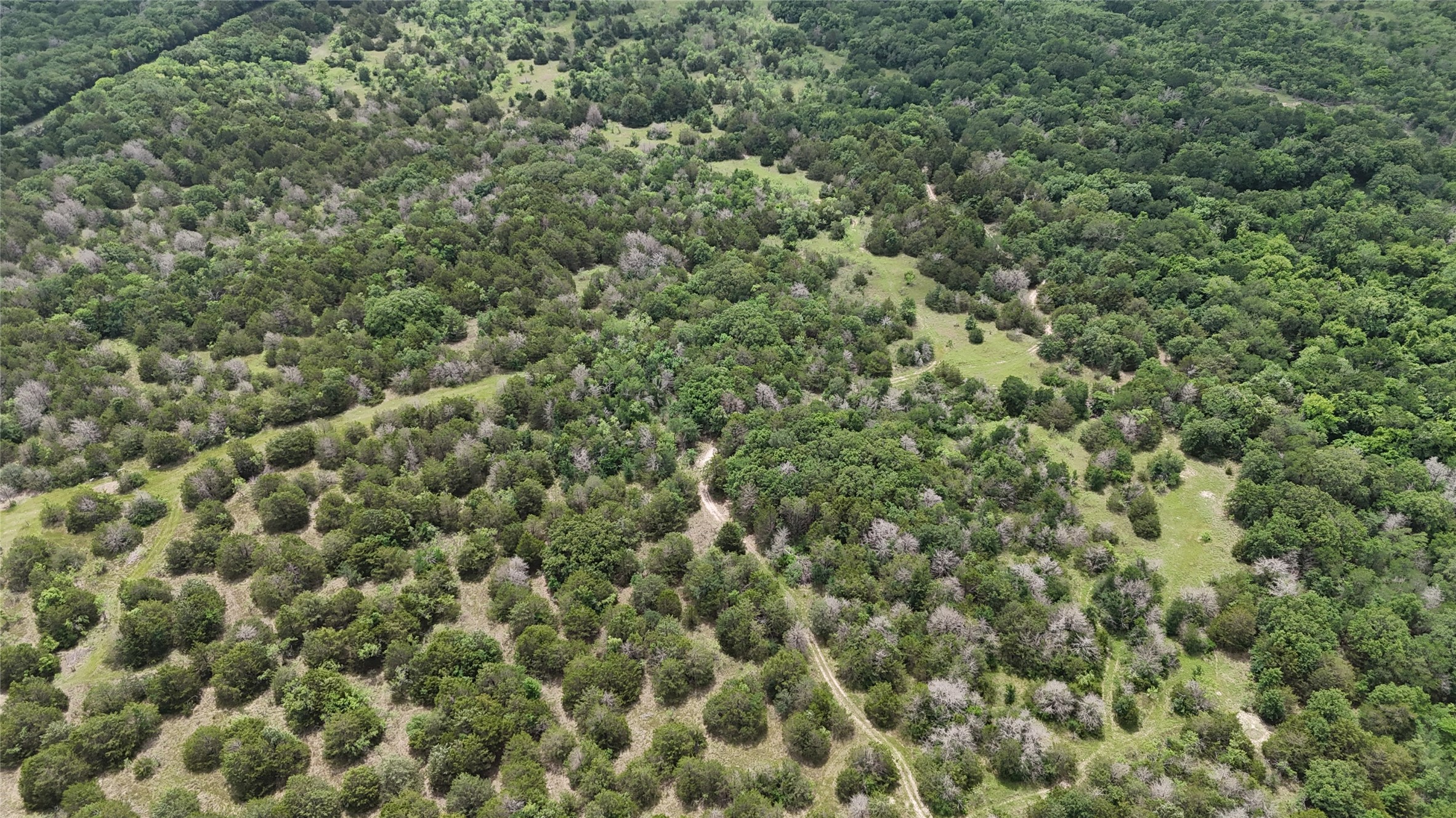 Tbd 125 Acres Fm 642 Purdon TX 76679