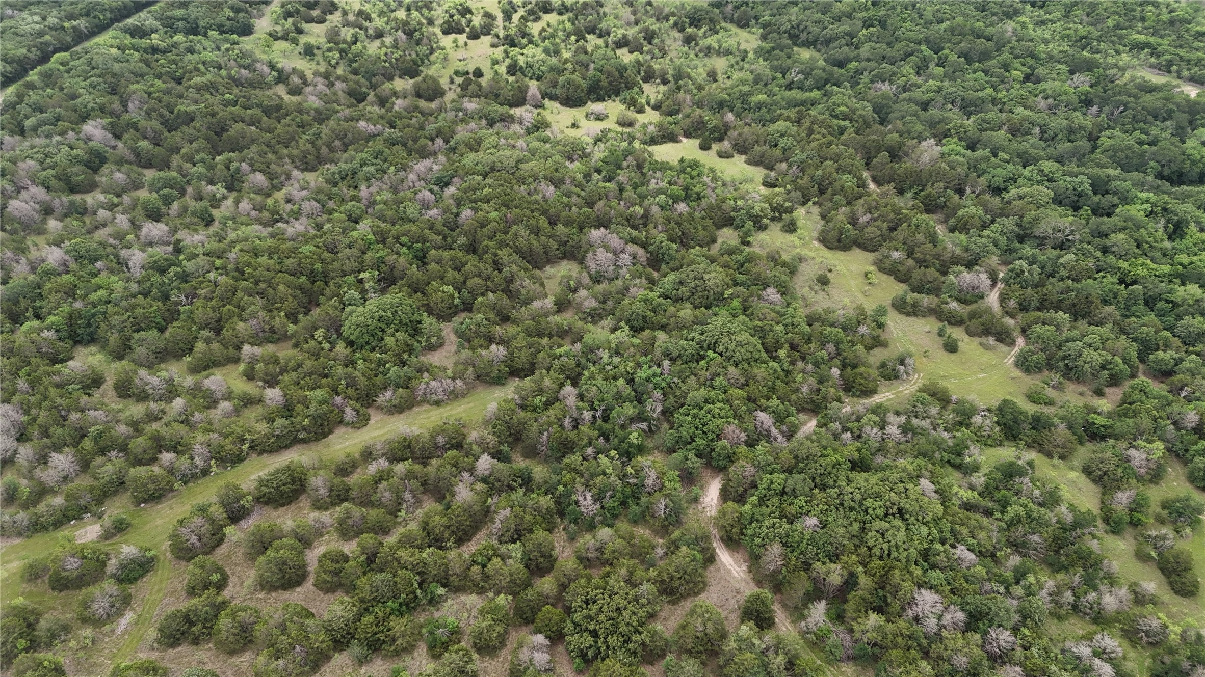 Tbd 125 Acres Fm 642 Purdon TX 76679