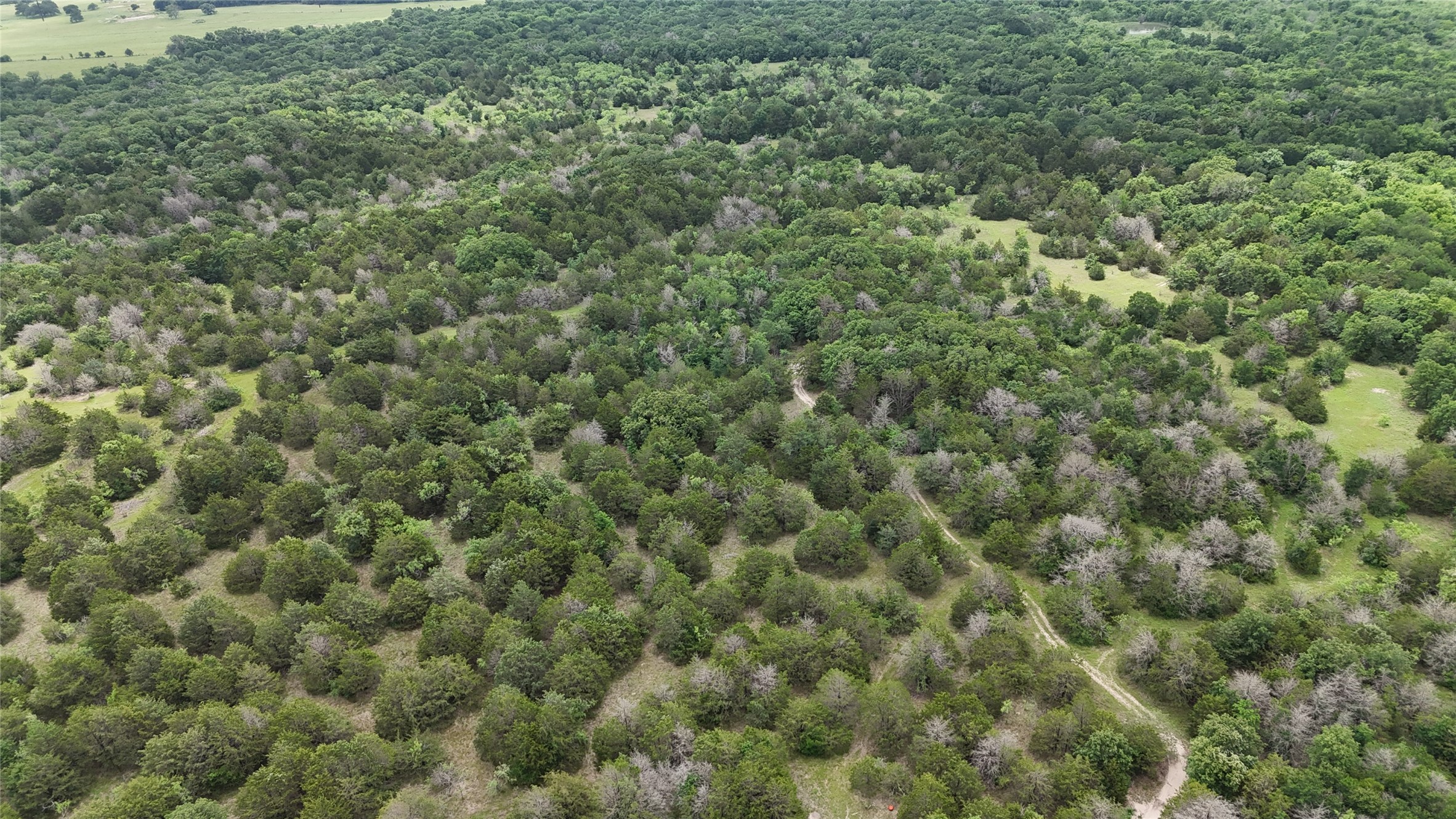 Tbd 125 Acres Fm 642 Purdon TX 76679