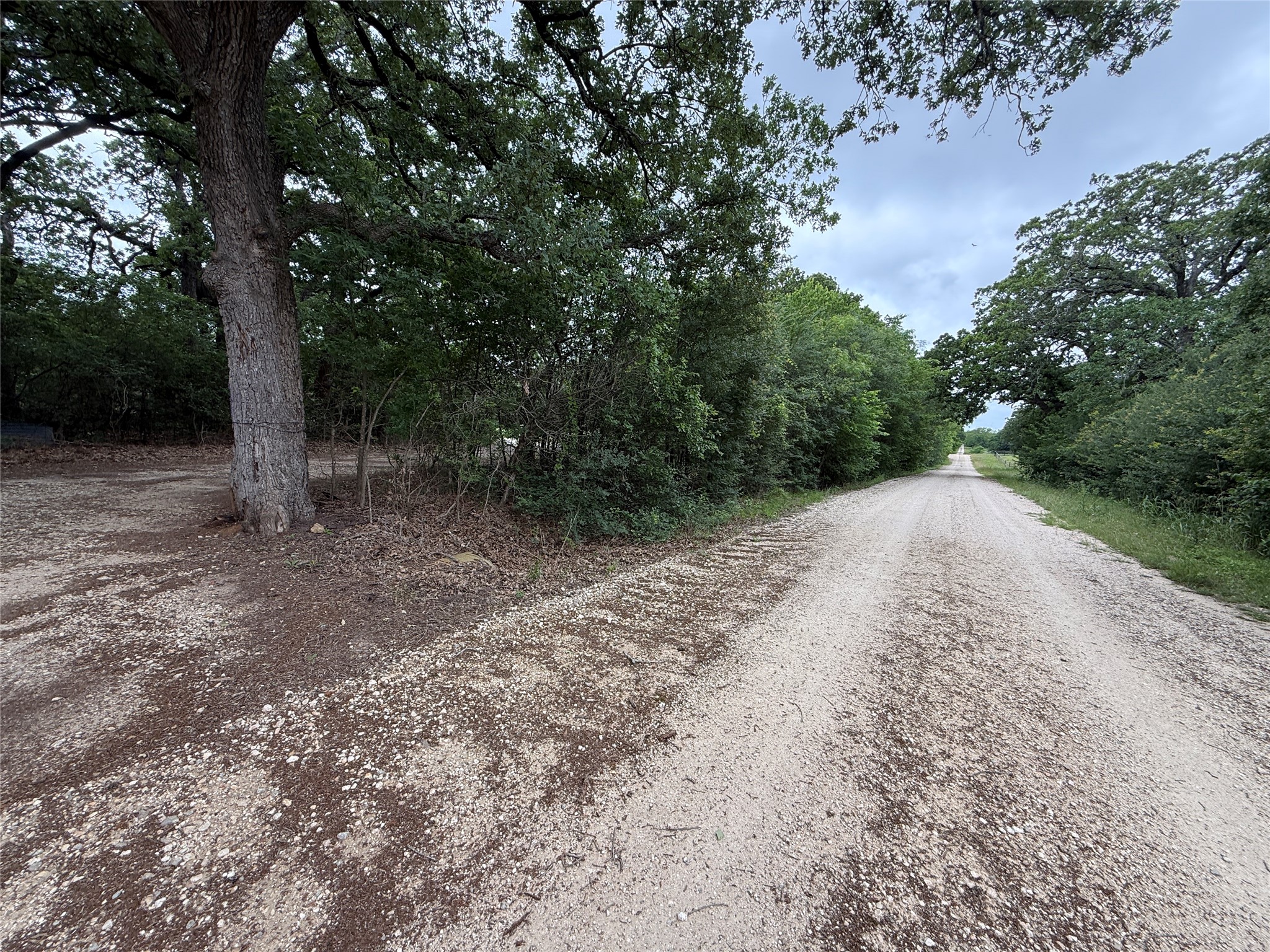 Tbd 125 Acres Fm 642 Purdon TX 76679