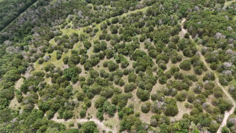 TBD 125 Acres Fm 642 Purdon TX 76679