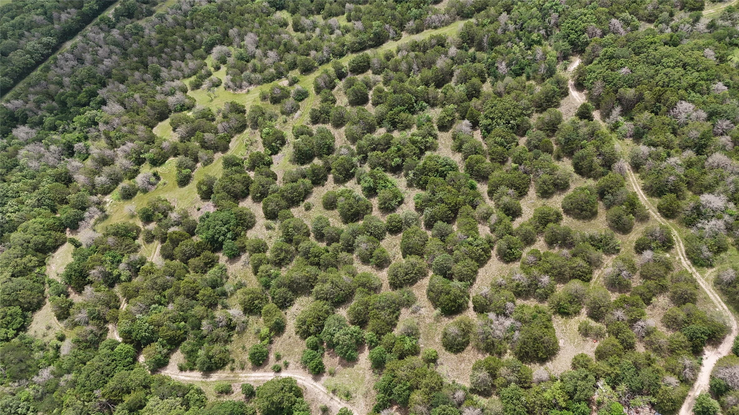 Tbd 125 Acres Fm 642 Purdon TX 76679