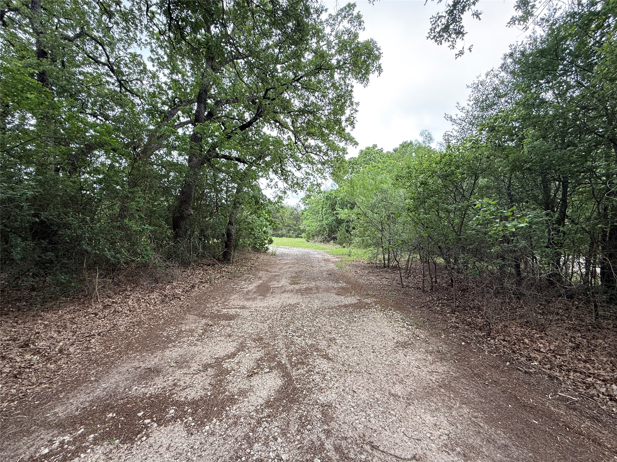 Tbd 125 Acres Fm 642 Purdon TX 76679