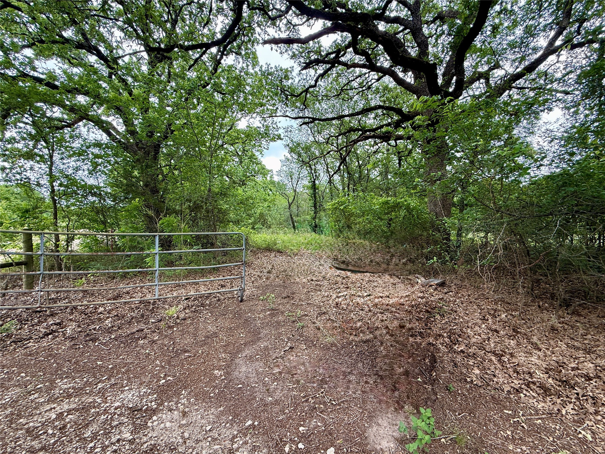 Tbd 125 Acres Fm 642 Purdon TX 76679