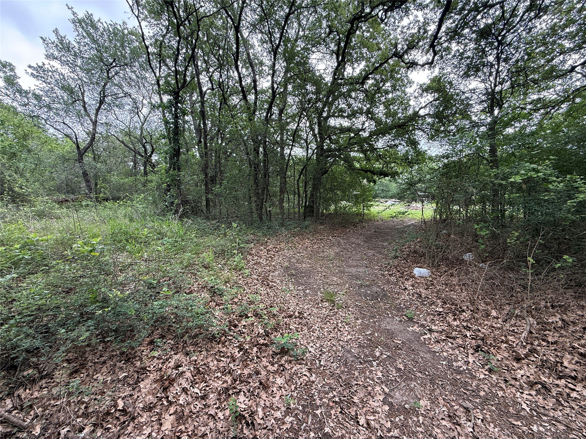 Tbd 125 Acres Fm 642 Purdon TX 76679