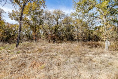 125 Prairie Winds Drive Poolville TX 76487