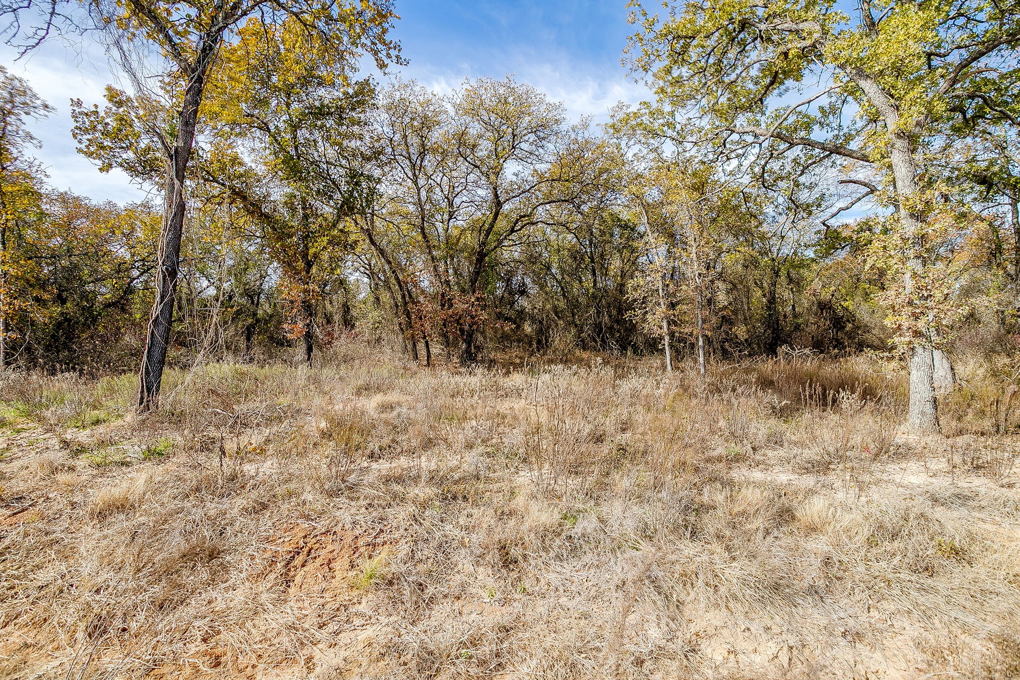 125 Prairie Winds Drive Poolville TX 76487