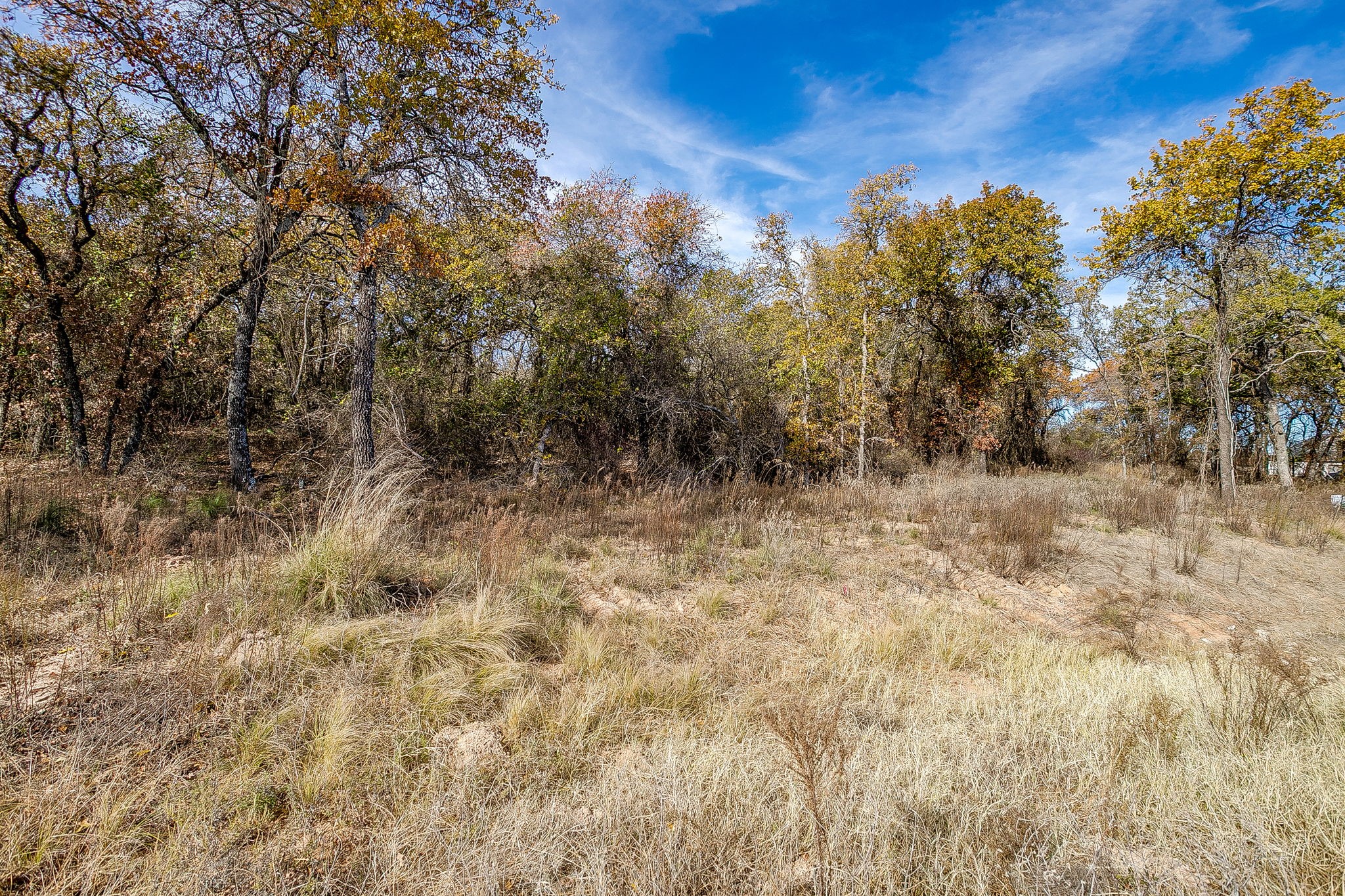125 Prairie Winds Drive Poolville TX 76487