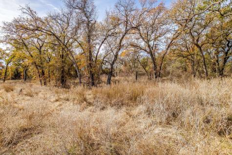 125 Prairie Winds Drive Poolville TX 76487