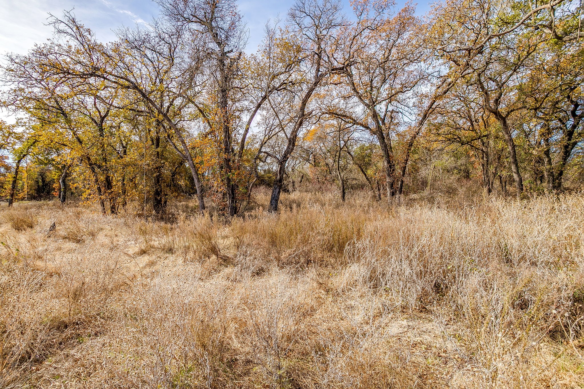 125 Prairie Winds Drive Poolville TX 76487