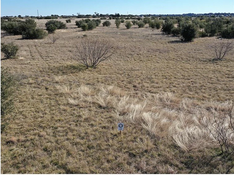 1036 Lake Shore Loop Graford TX 76449