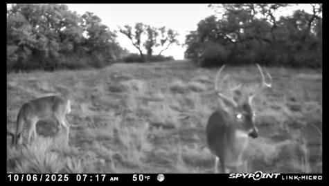 6885 County Road 594 Brownwood TX 76801