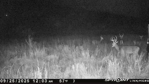 6885 County Road 594 Brownwood TX 76801