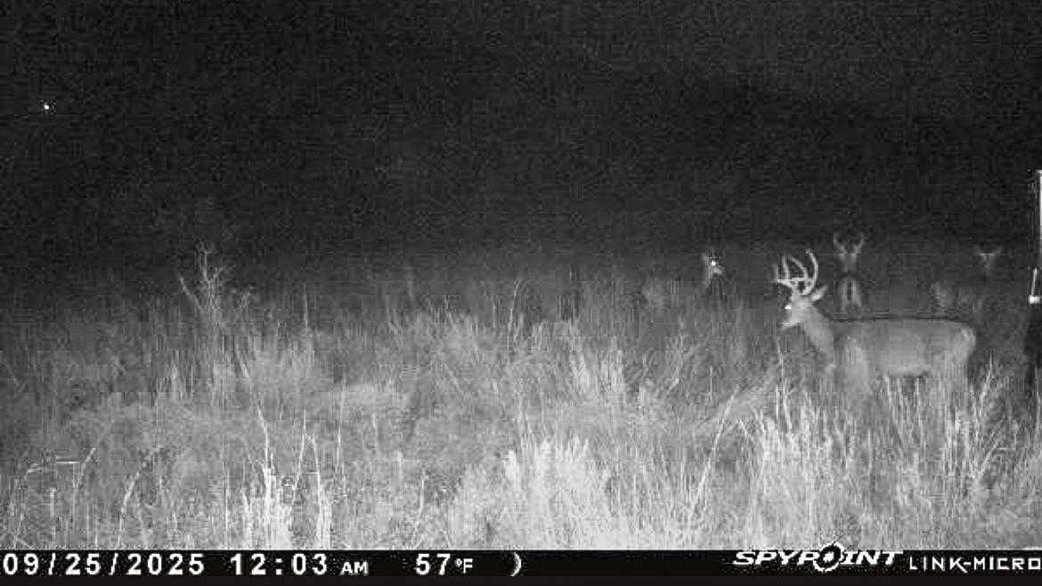 6885 County Road 594 Brownwood TX 76801