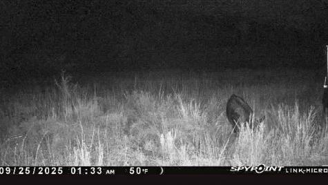 6885 County Road 594 Brownwood TX 76801